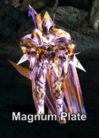 Magnum Plate